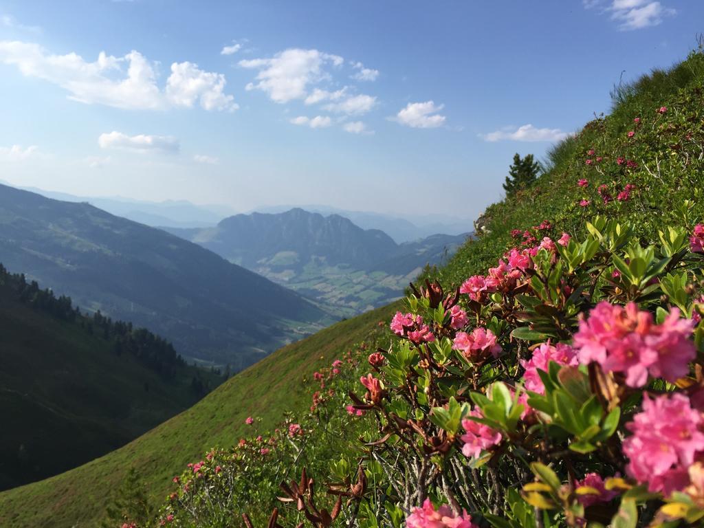 Das Alpbach Juwel Kültér fotó