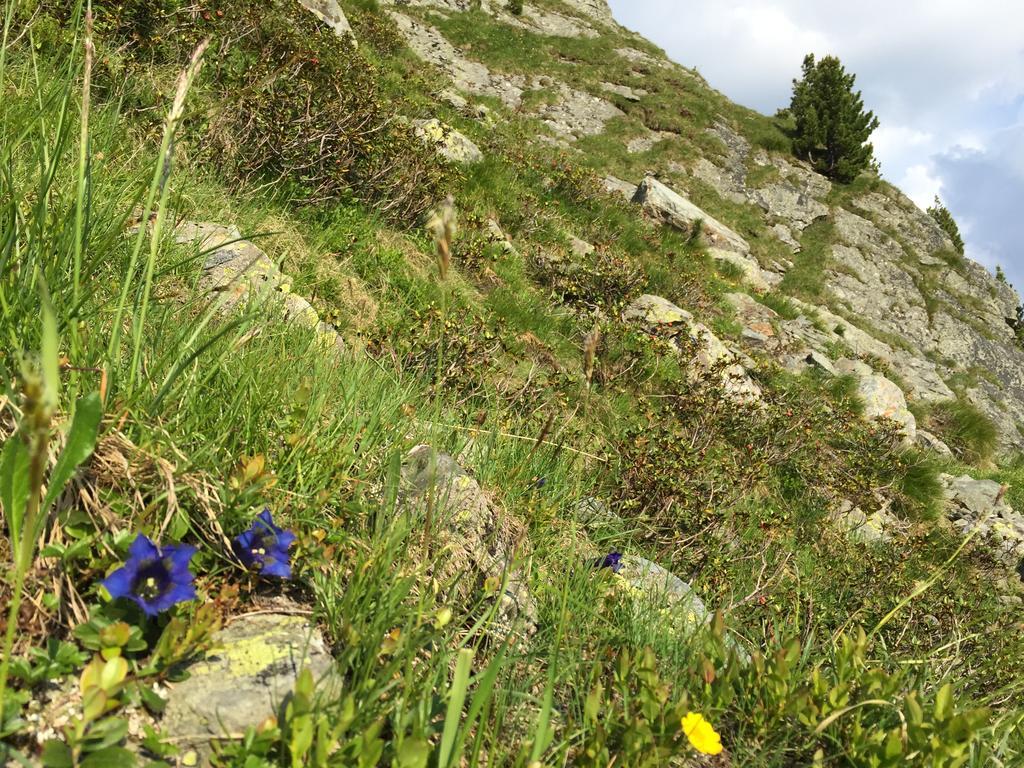 Das Alpbach Juwel Kültér fotó