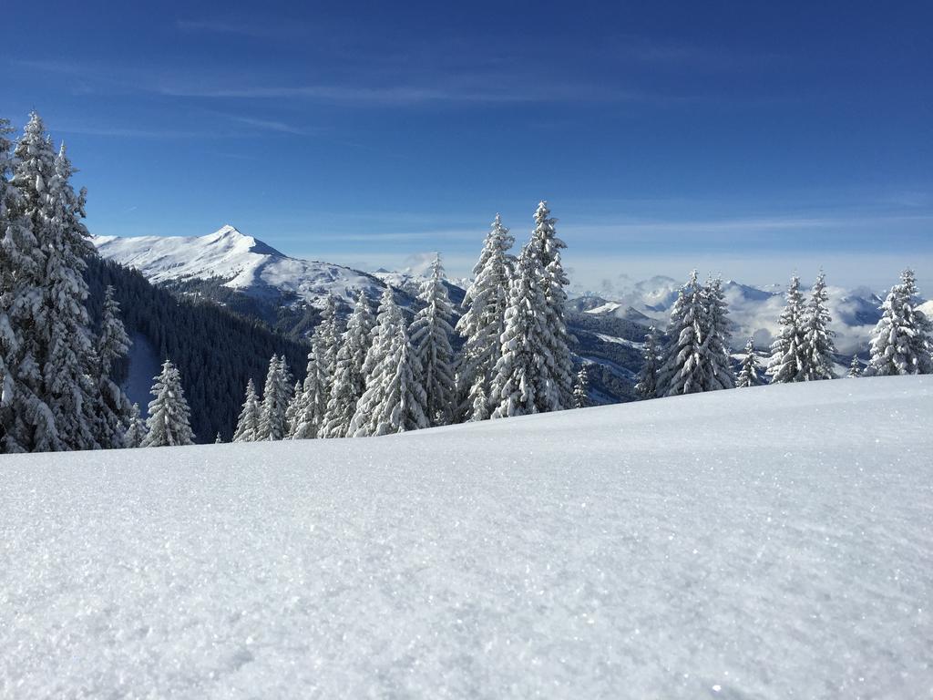 Das Alpbach Juwel Kültér fotó