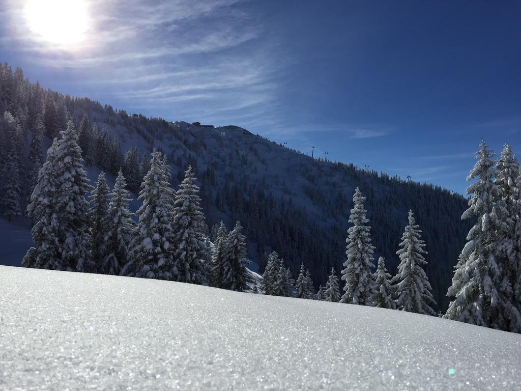 Das Alpbach Juwel Kültér fotó