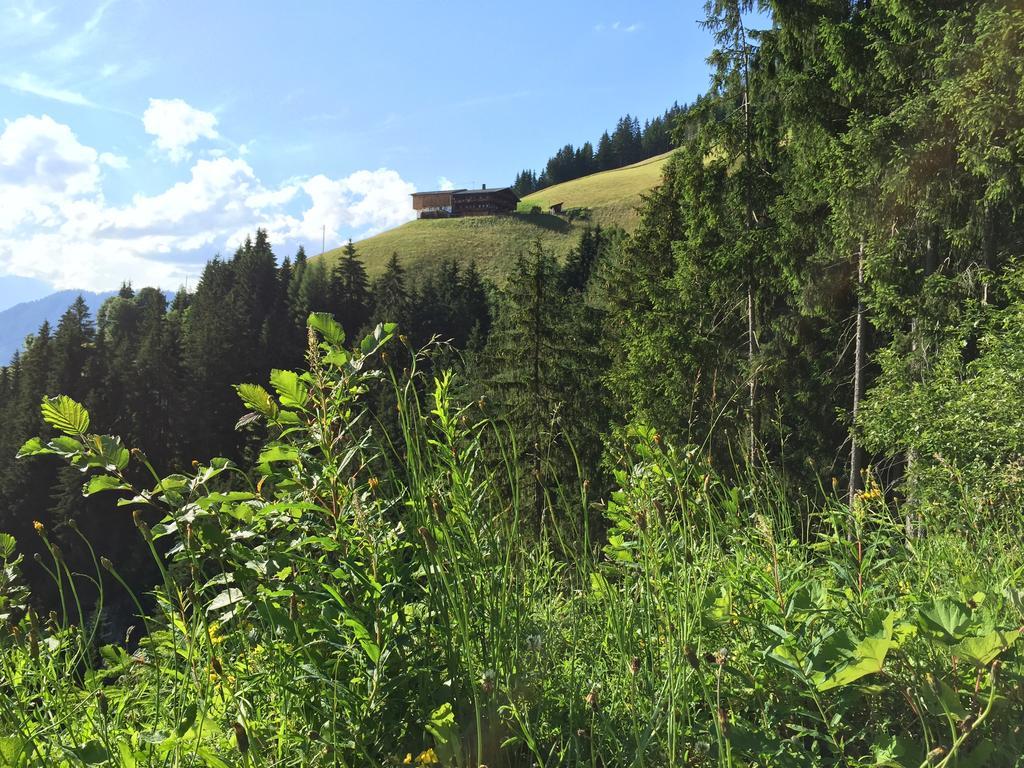 Das Alpbach Juwel Kültér fotó